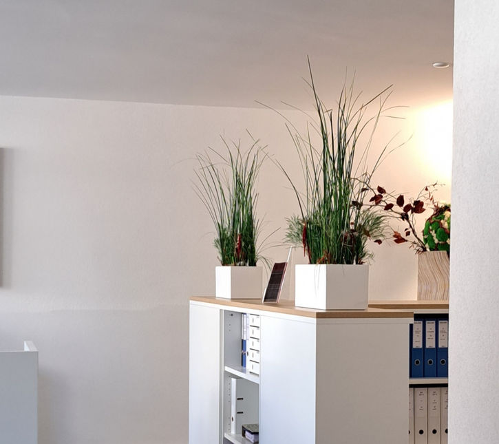 séparations d'espaces, plantes naturalisées, stabilisées, végétal art echallens, design, décoration intérieure, vaud