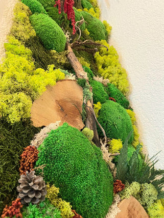 mur végétal stabilisé, paroi murale, mousse, durable, intérieur, décoration, plantes, feuilles, bois, pierres, cadre, exclusif