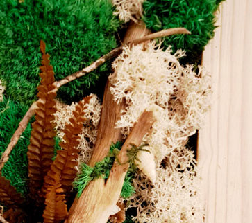 cadre en bois structuré nordique beige avec mousse