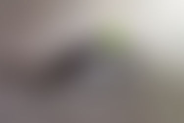 Come ritrovare la motivazione?