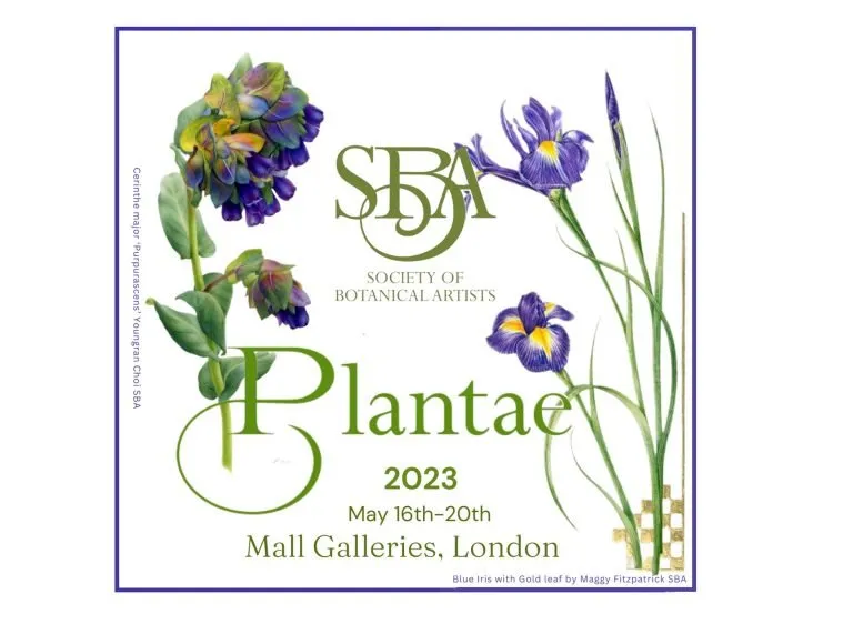 sba-plantae-23-home-768x562.webp