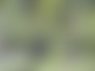 De Icefields Parkway