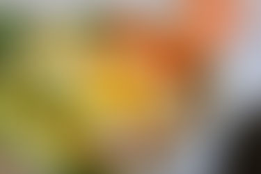 Salade met forel en avocado