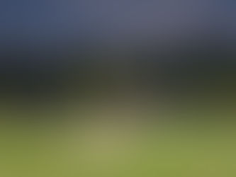 Wildlife Tour in Jasper