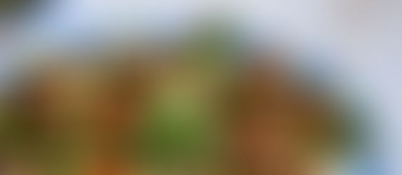 Gegrilde groenten salade