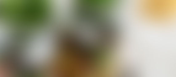 Salade met artisjok en geitenkaas