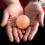 Miniatura: Déodorant Sel de l'Hymalaya en boule