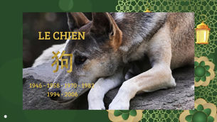 Le CHIEN, Horoscope du 9 avril au 7 mai 2024. Onzième signe du zodiaque de l'astrologie chinoise.