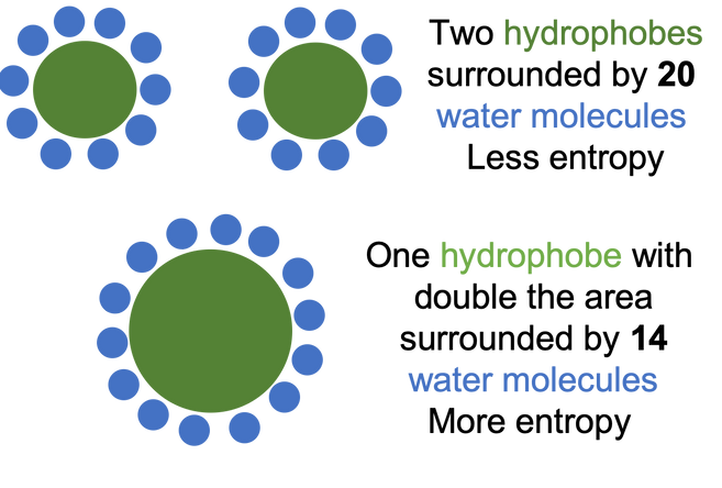 HydrophobicEffect.png