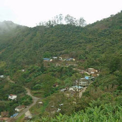 parroquia la tingue