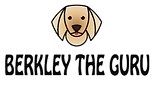 Berkley-The-Guru-Logo_edited_edited.png