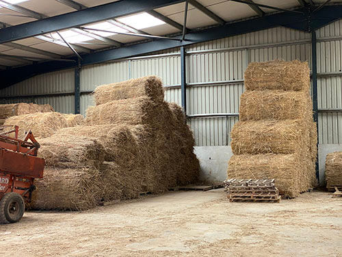 Roof thatching materials