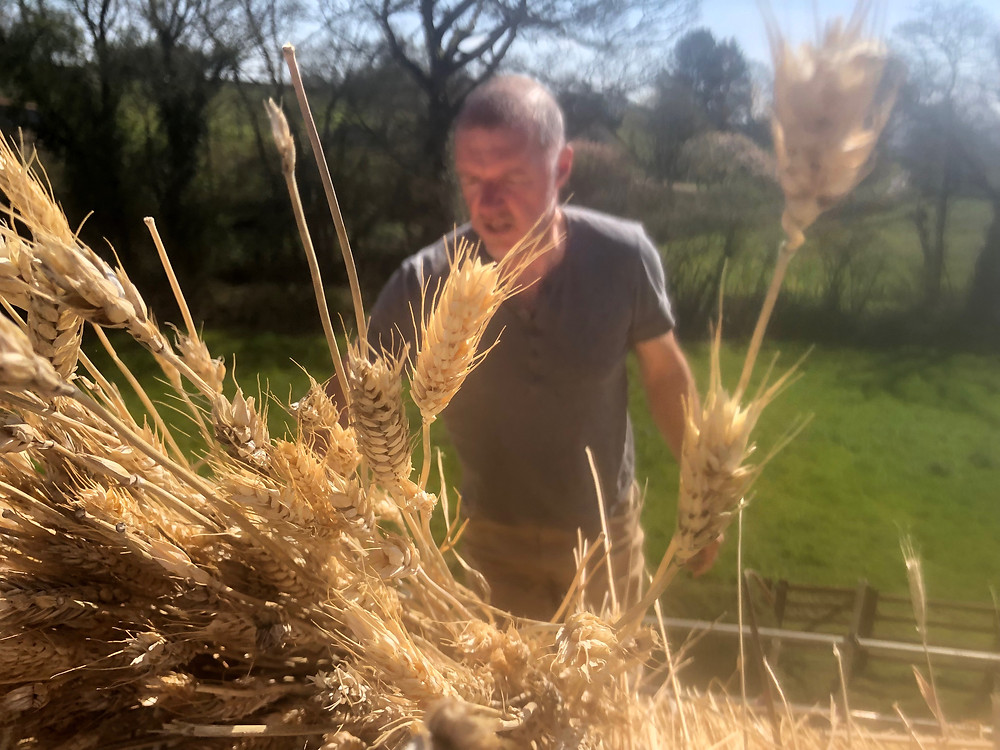 Mark Harrington master thatcher enjoying the spring weather!