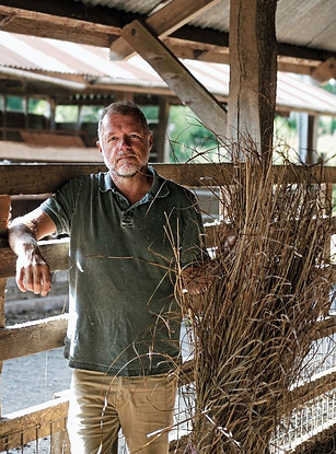 Mark Harrington Master Thatcher