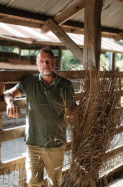 Mark Harrington - Master Thatcher