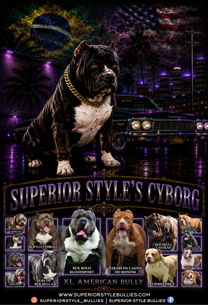 SSB CYBORG 2.png