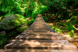 puente amatlan tepoztlan