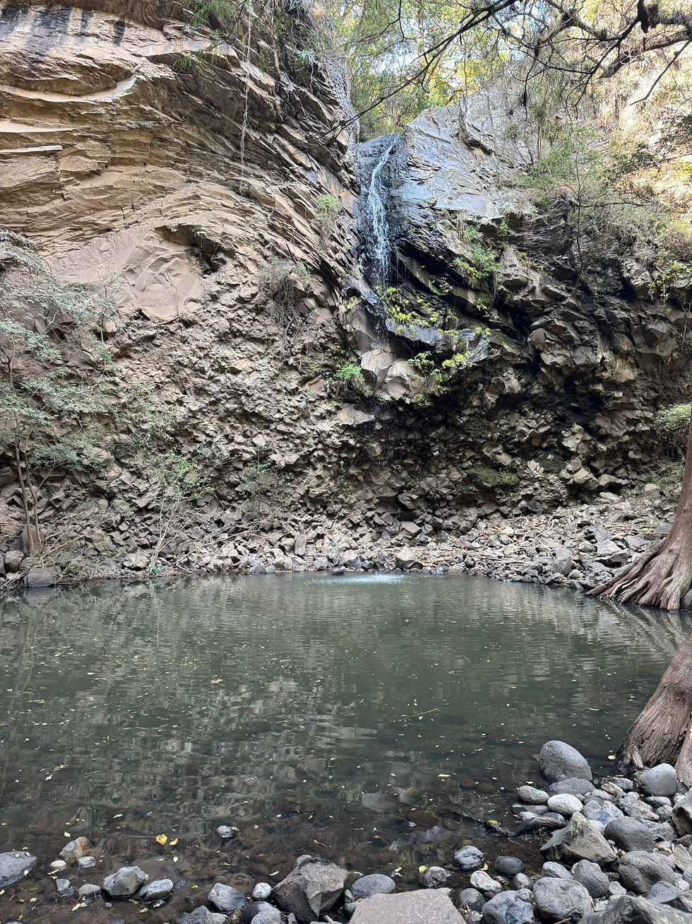 cascada de poza de quetzalcoatl amatlan