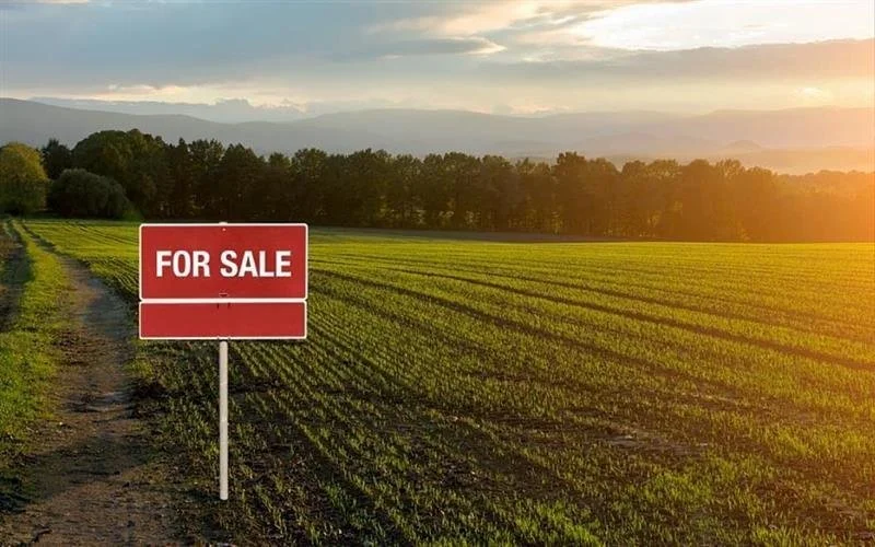 Land-for-sale.webp