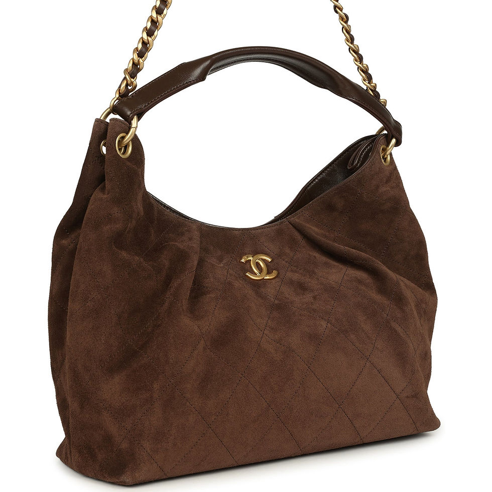 Angled view showing the hobo's leather-topped handle and interwoven chain strap