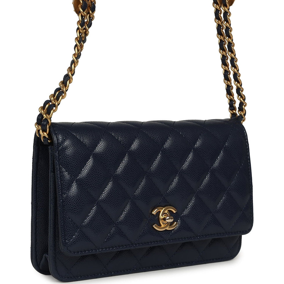 Three-quarter angle showing the woven chain-and-leather double shoulder strap