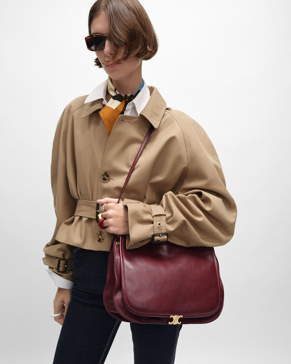 Celine Soft Triomphe Besace in Syrah Supple Shiny Lambskin – view 2