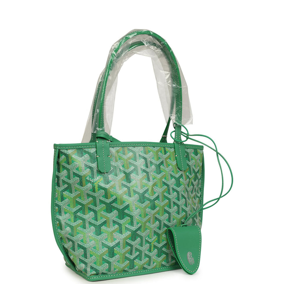 Goyard Anjou Mini bag in Meadow Green Goyardine, angled view