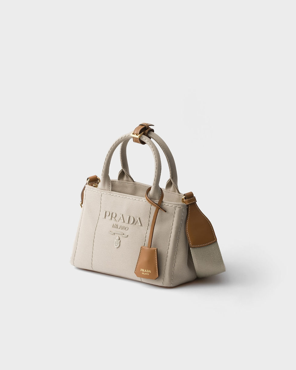 Prada Jardinière mini bag in natural cotton canvas – view 2