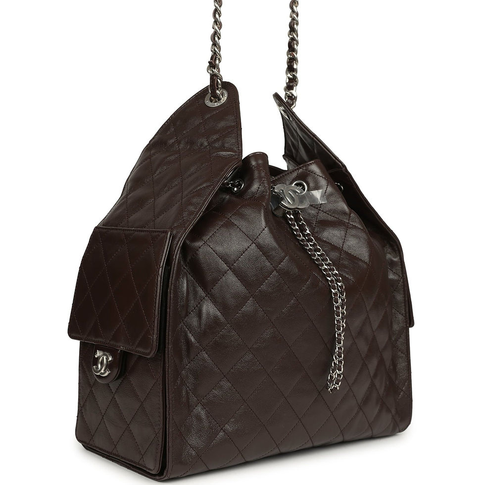 Angled front view showing glossy brown quilting, silver chain and side pocket