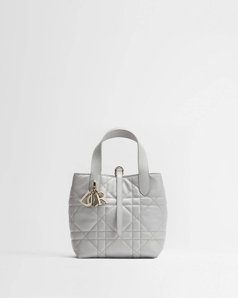 Dior Small Toujours Vertical Tote bag in Gris Pietro gray calfskin – front view