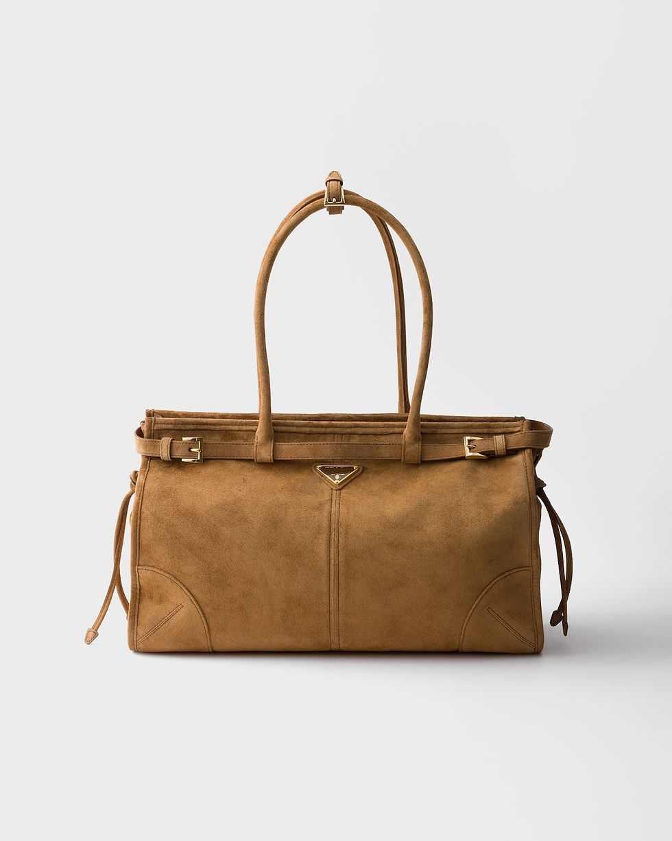 Prada Bonnie Large bag in cinnamon suede – front view