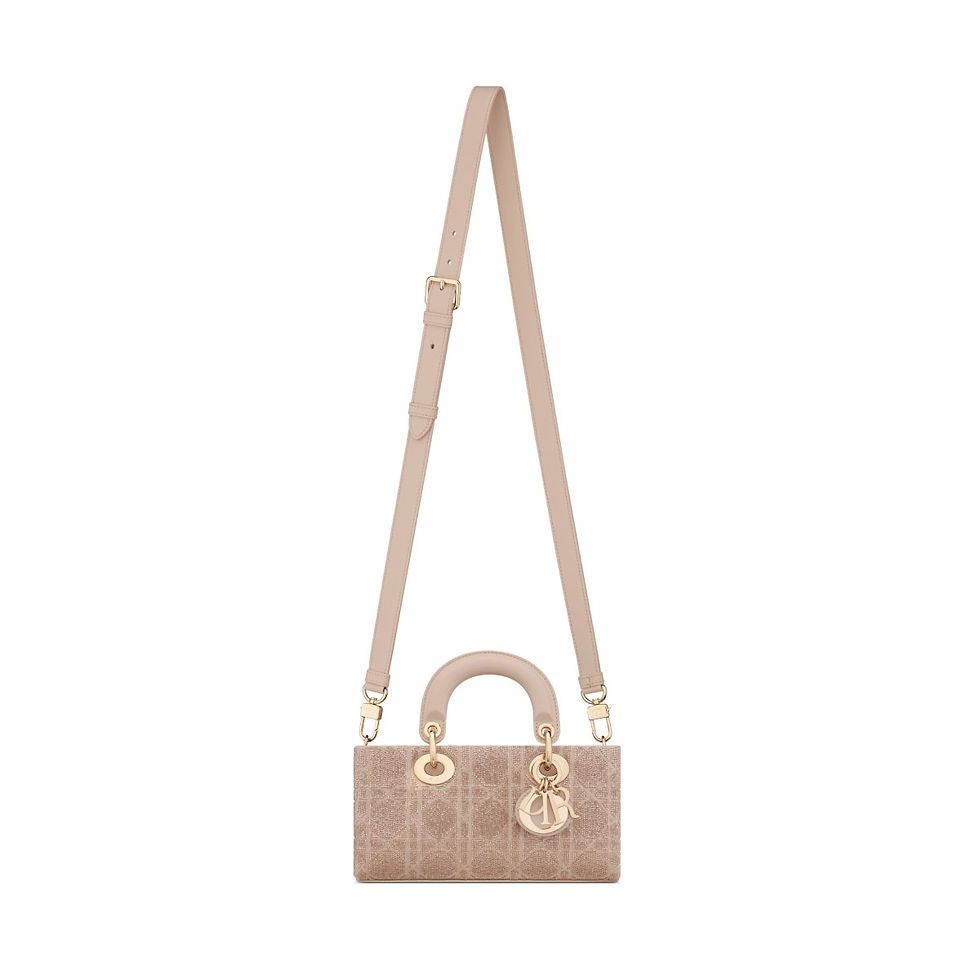 Dior Small Lady D-Joy bag in caramel beige Cannage microbead embroidery – view 2