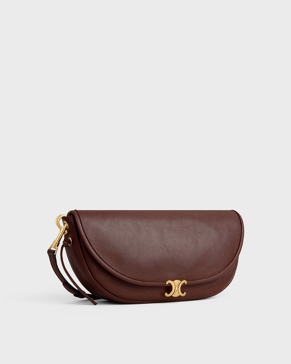 Celine Soft Triomphe Little Halfmoon bag in deep brown shiny lambskin – view 2