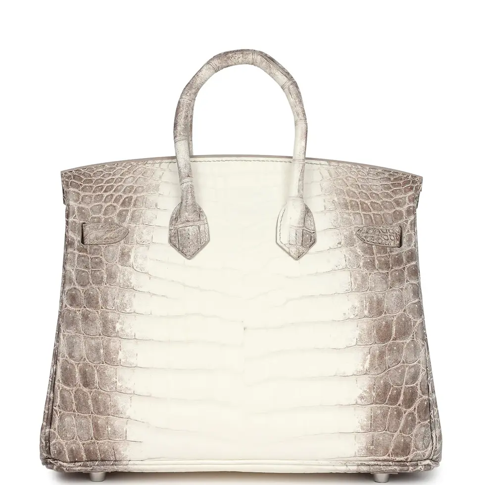 Thumbnail: Hermes Birkin 25 Himalaya, back view of the graduated Niloticus crocodile