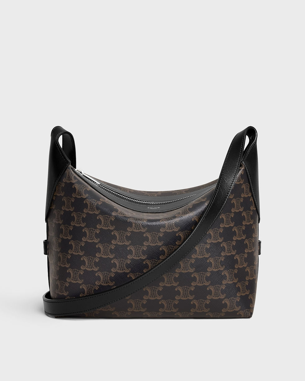 Celine Harry Crossbody Bag in Black Triomphe Canvas and Calfskin – front view