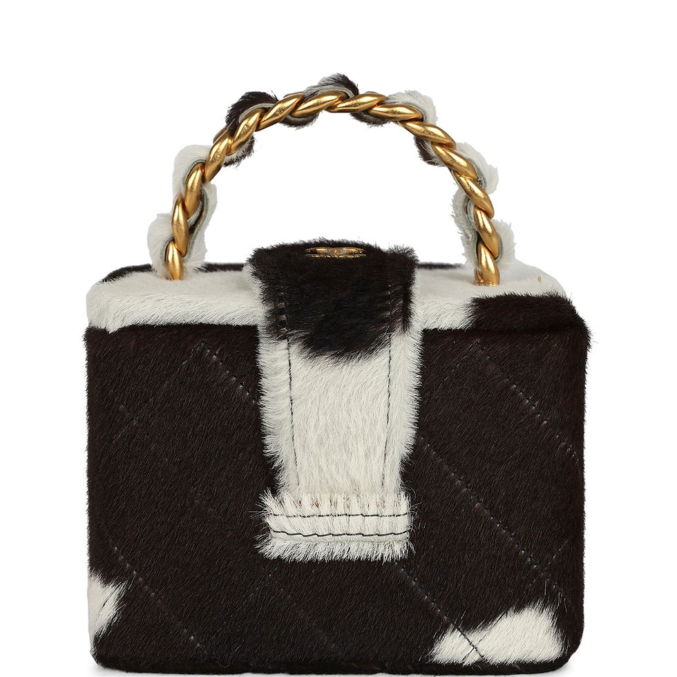 Front view of the square vanity box in brown and white ponyhair with a twist-lock CC