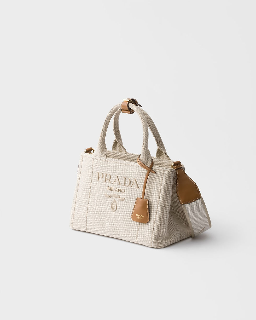 Prada Jardinière small bag in natural cotton canvas – view 2