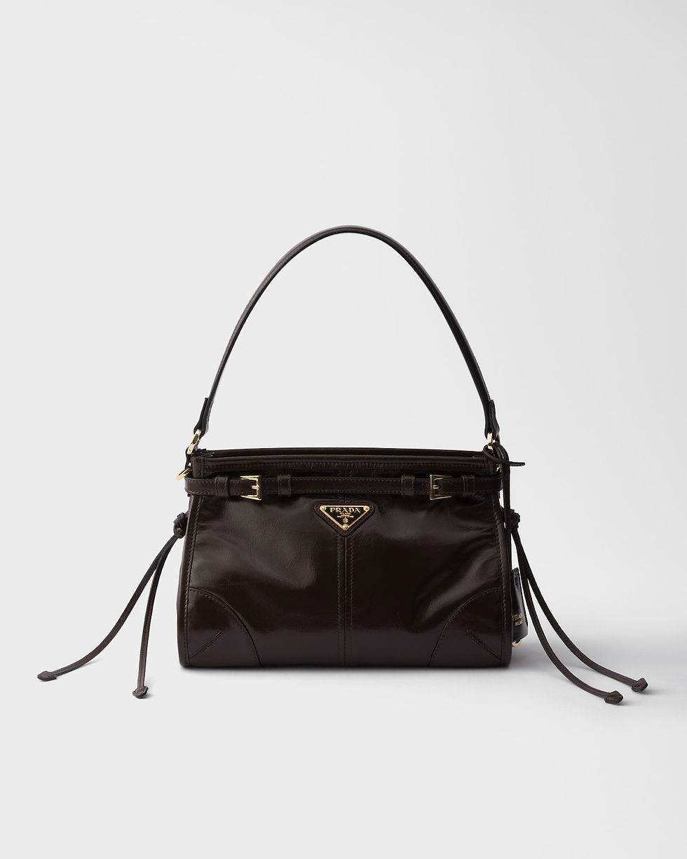 Prada Bonnie small hobo bag in dark brown calfskin – front view