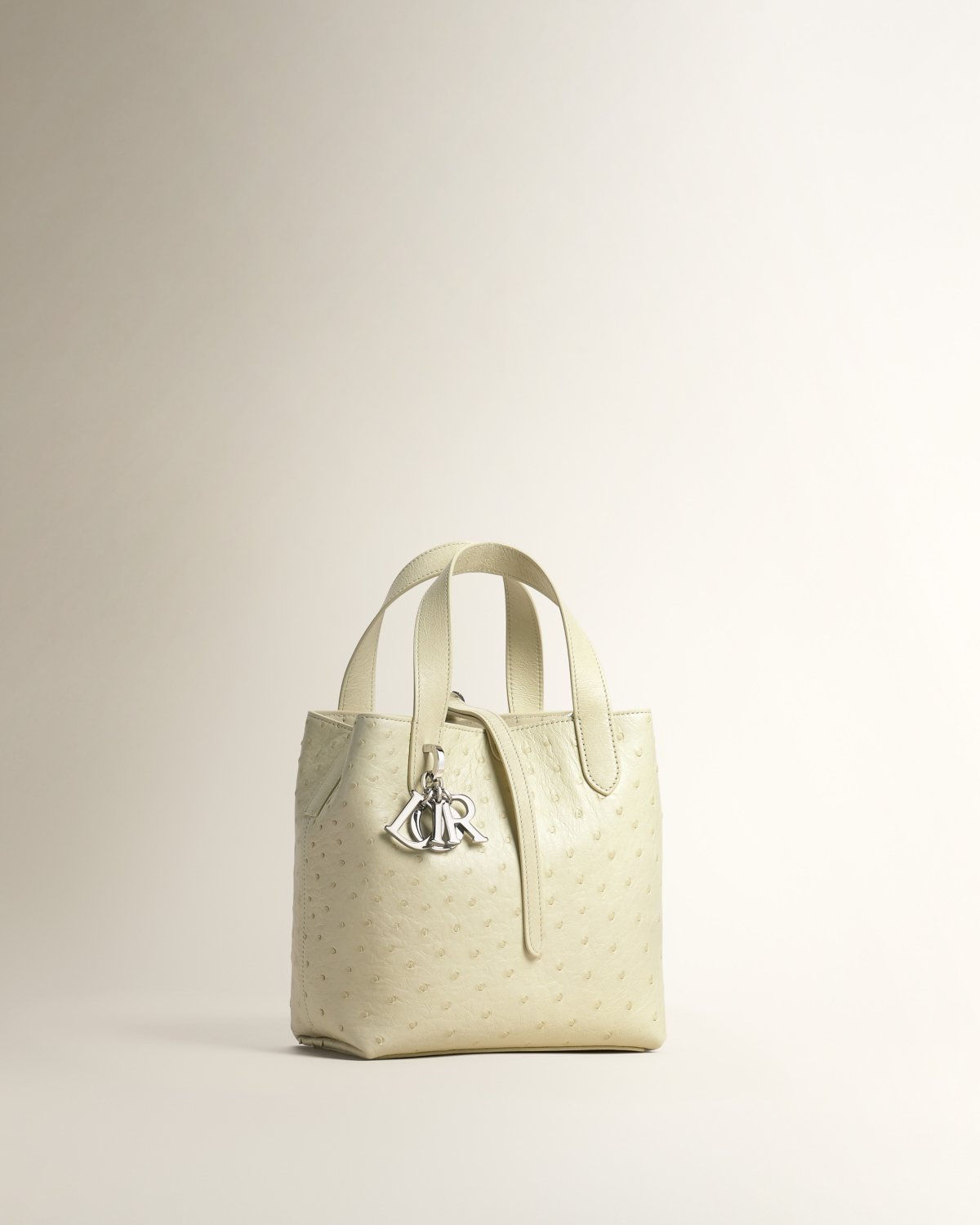 Dior Small Toujours bag in ostrich – front view