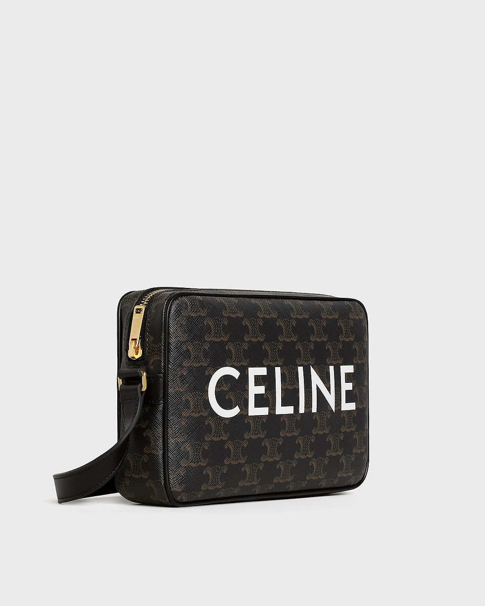 Celine Medium Messenger bag in black Triomphe canvas with Celine print – view 2