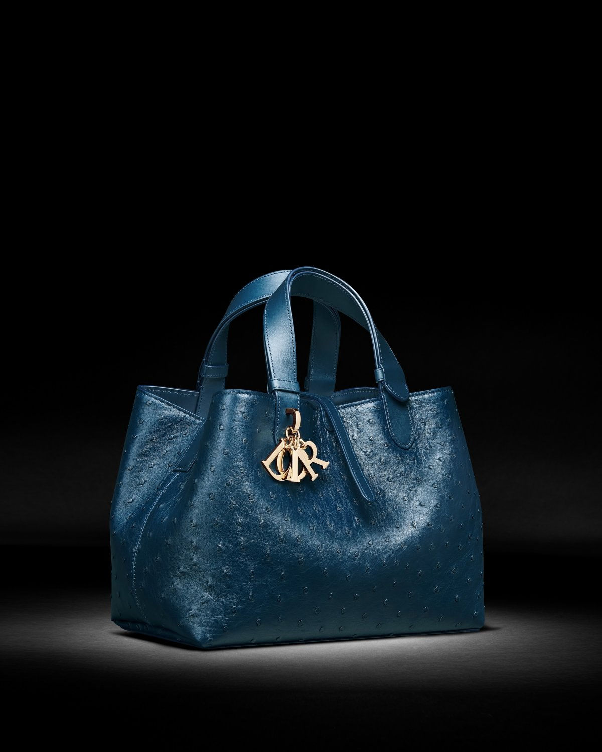 Dior Medium Toujours bag in oceano ostrich – view 1
