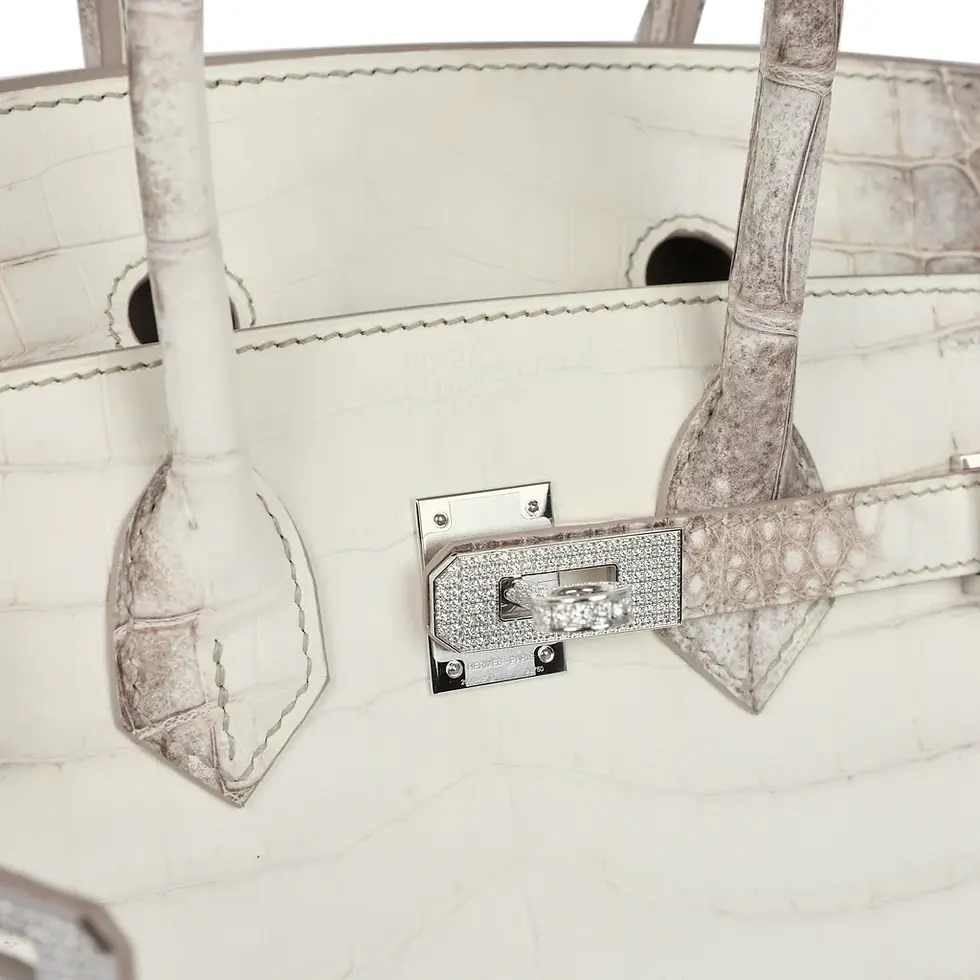 Thumbnail: Hermes Himalaya Birkin, close-up of diamond-encrusted lock and hardware