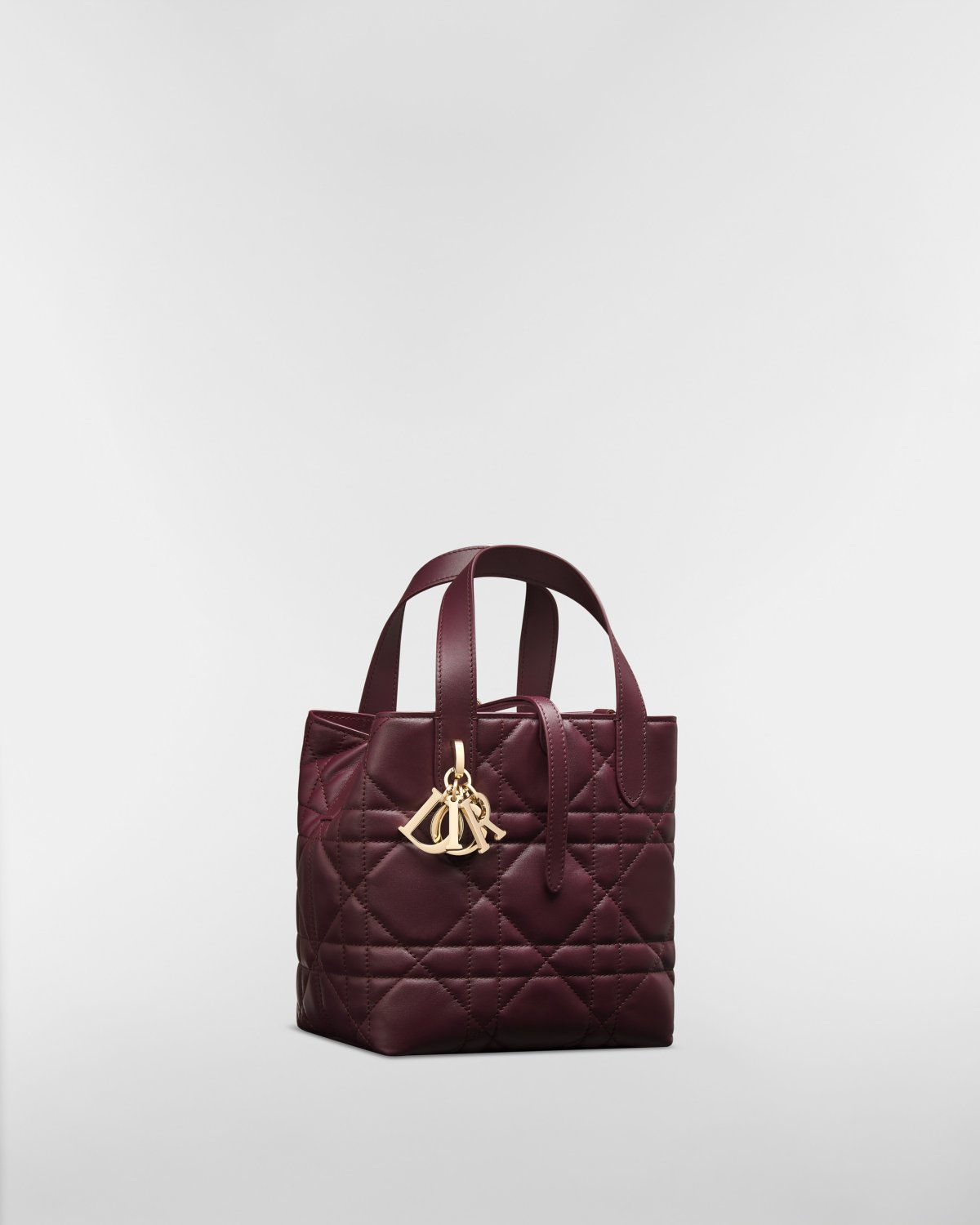 Dior Small Toujours Vertical Tote bag in Deep Amaranth calfskin – front view