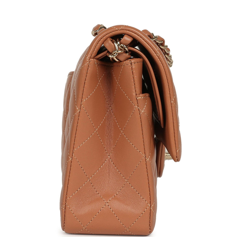 Thumbnail: Side profile showing the bag's structured depth and chain-and-leather strap