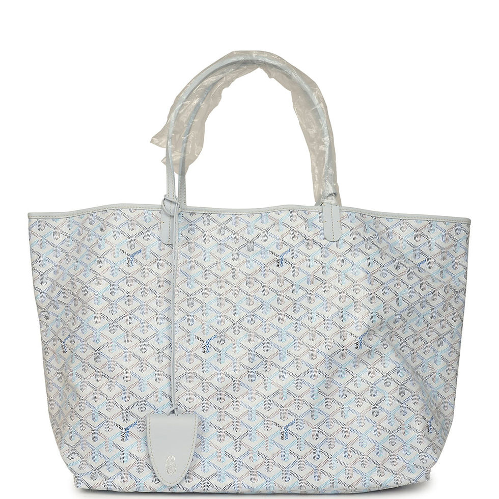Goyard Saint Louis GM tote in Polar Blue Goyardine canvas, front view