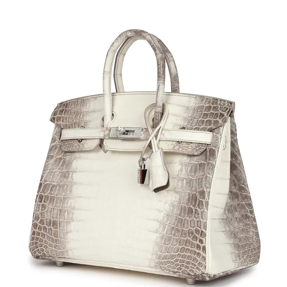 Thumbnail: Hermes Himalaya Birkin, back view of crocodile leather