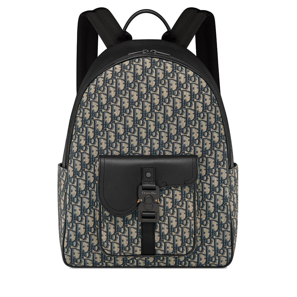 Dior Saddle Zip Backpack in Beige and Black Dior Oblique Jacquard – front view