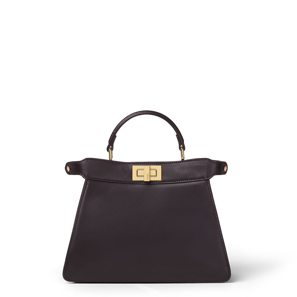 Fendi Peekaboo ISeeU Small bag in dark brown calfskin – front view