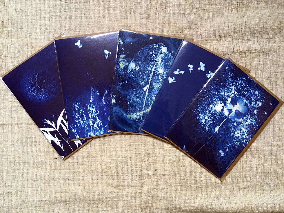Thumbnail: Cyanotype greetings cards. Multi-pack of 5. 7x5"