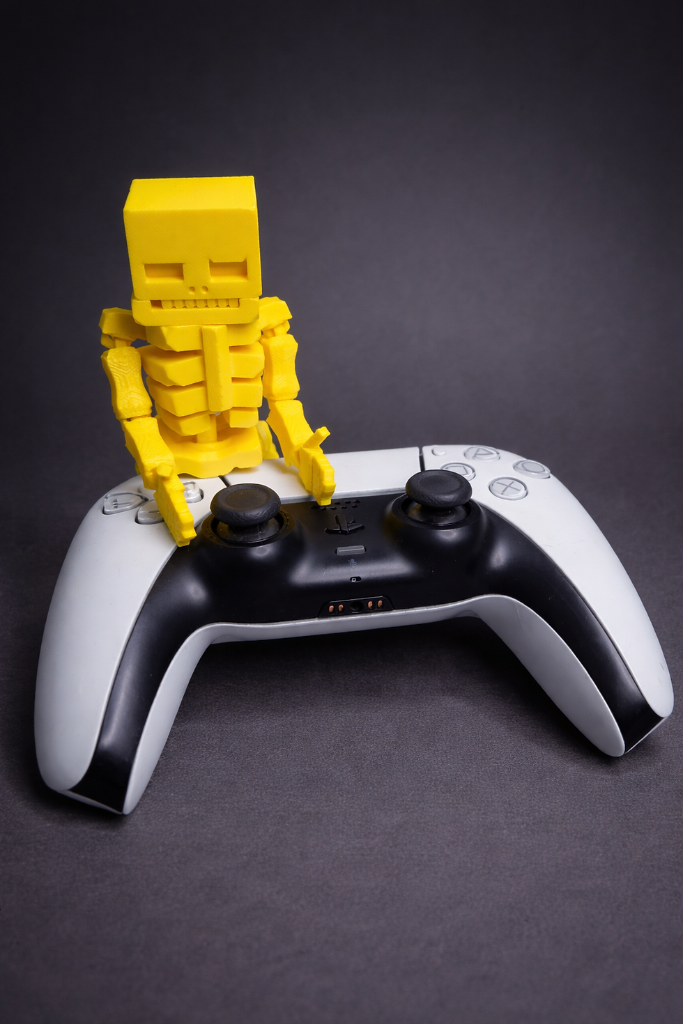 Thumbnail: 3D Printed Skeleton